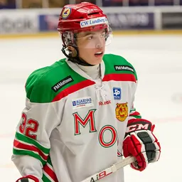 Portrait of Lukas Bengtsson