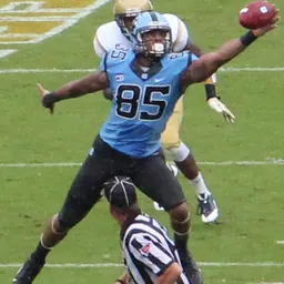 Portrait of Eric Ebron