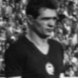Portrait of Sándor Mátrai