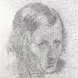 Portrait of François Désiré Roulin