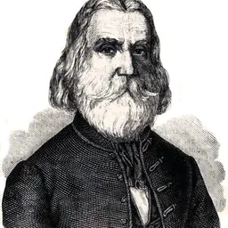 Portrait of Sámuel Brassai