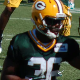 Portrait of Ladarius Gunter