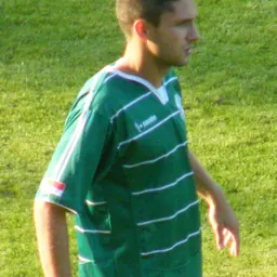 Portrait of Dražen Okuka