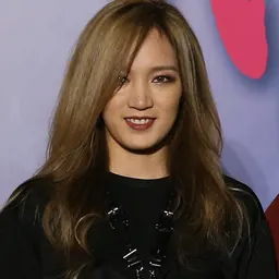 Portrait of Meng Jia