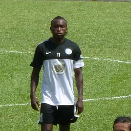 Portrait of Paul Ngue