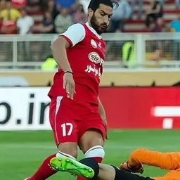 Portrait of Hamza Younés