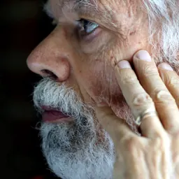Portrait of José Mattoso