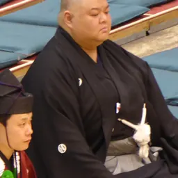 Portrait of Takanotsuru Shinichi