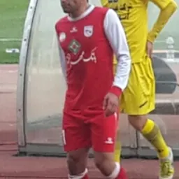 Portrait of Mohsen Delir