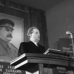 Portrait of Nikolai Karotamm