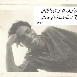 Portrait of Jaun Elia