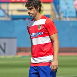Portrait of Tiago Mendes