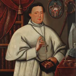 Portrait of José da Avé-Maria Leite da Costa e Silva