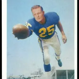 Portrait of Don Burroughs