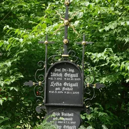 Portrait of Ulrich Grigull