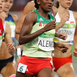 Portrait of Habitam Alemu