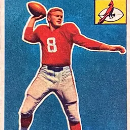 Portrait of Lamar McHan