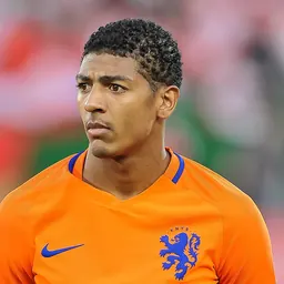 Portrait of Patrick van Aanholt