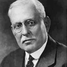 Portrait of Samuel Insull