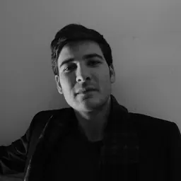 Portrait of Taylan Susam