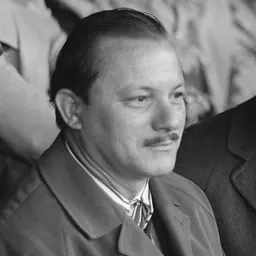 Portrait of Frans Figaroa