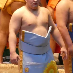 Portrait of Aonishiki Arata