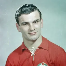 Portrait of Sándor Kocsis