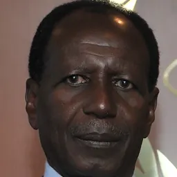 Portrait of Foumakoye Gado