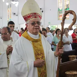 Portrait of Antônio Fernando Brochini