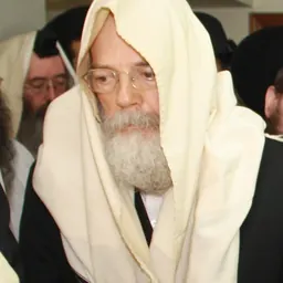 Portrait of Shalom Dov Wolpo