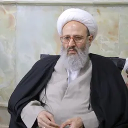 Portrait of Mohsen Faqihi