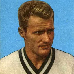 Portrait of Giuseppe Vavassori