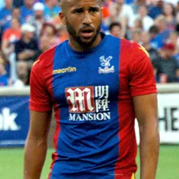 Portrait of Andros Townsend