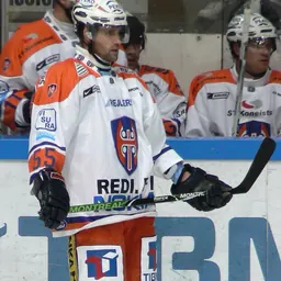 Portrait of Janne Grönvall