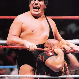 Portrait of André the Giant