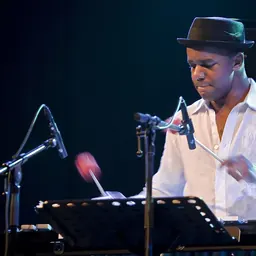 Portrait of Stefon Harris