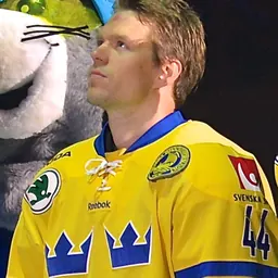 Portrait of Nicklas Danielsson