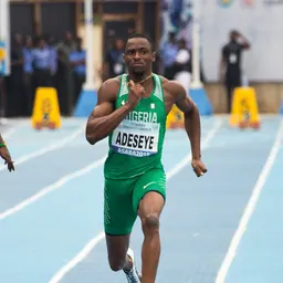 Portrait of Seye Ogunlewe