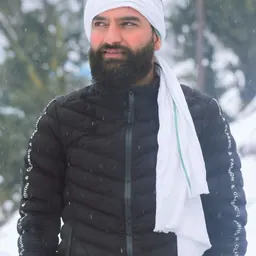 Portrait of Mehraj Malik