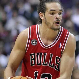 Portrait of Joakim Noah