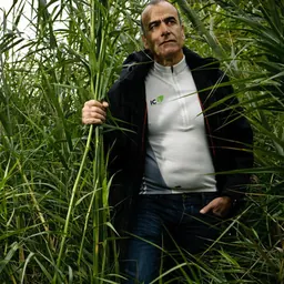 Portrait of Yom-Tov Samia