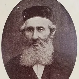 Portrait of Kalman Schulman