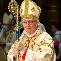 Portrait of Pietro Parolin
