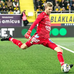 Portrait of Fredrik Andersson