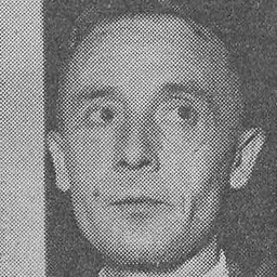 Portrait of Julien Gracq