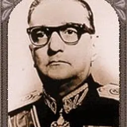 Portrait of Sylvio Frota