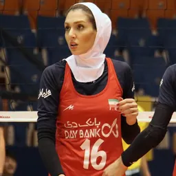 Portrait of Farnoosh Sheikhi
