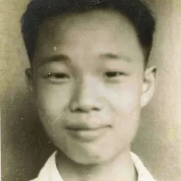 Portrait of Wang Zhenyi