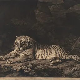 Portrait of John Dixon