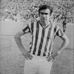 Portrait of Julio Cardeñosa